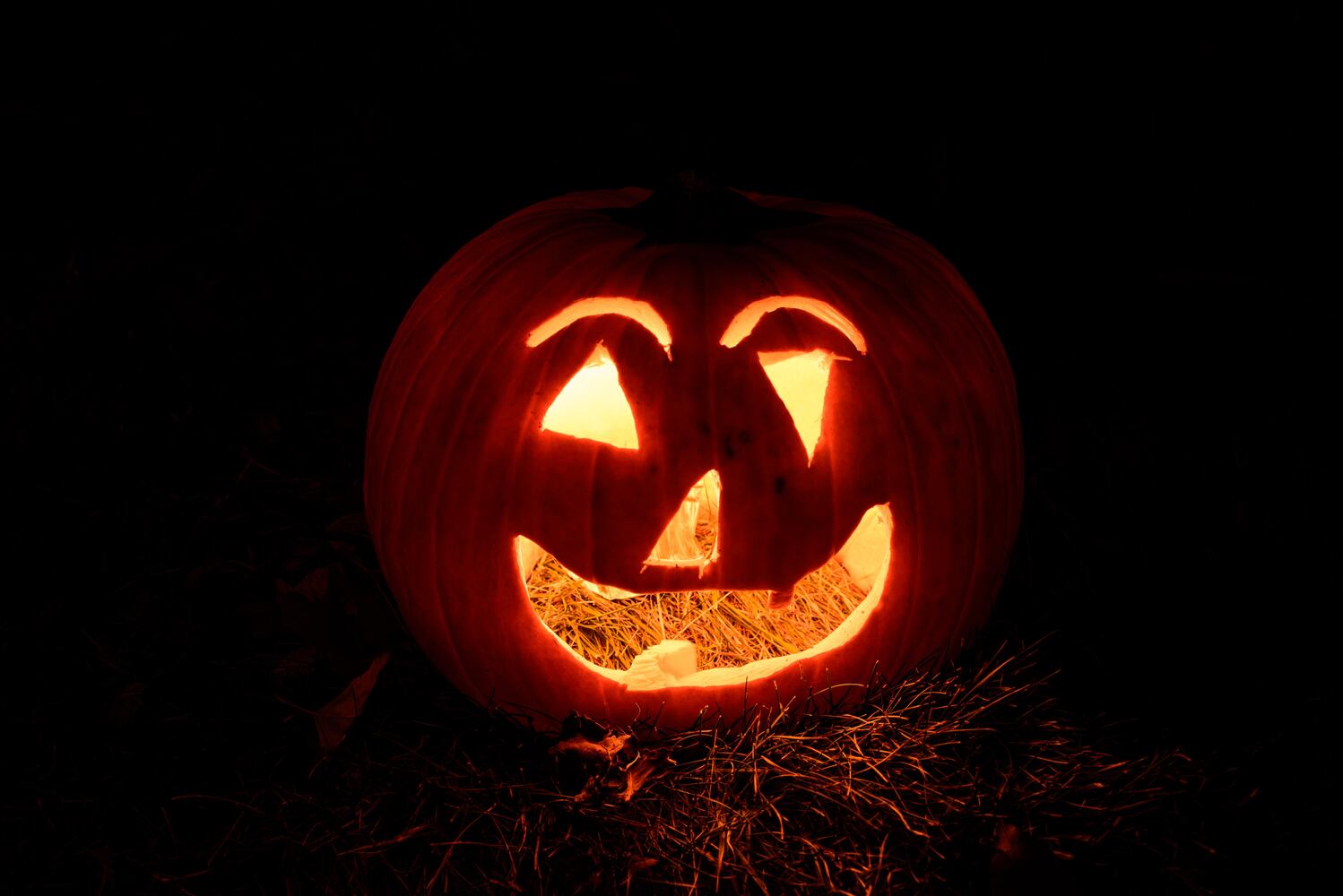 PHOTOS: The Stoddard Avenue Pumpkin Glow