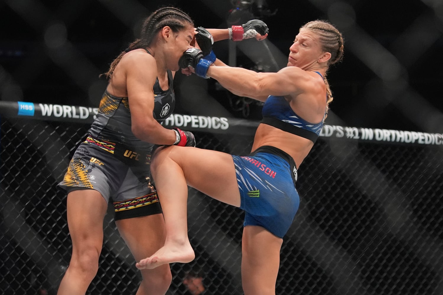 UFC 316 Mixed Martial Arts