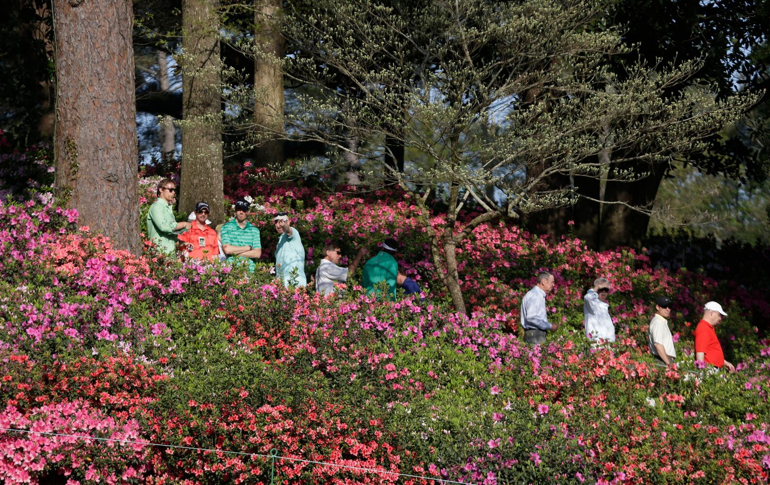 The scene at Augusta National April 8