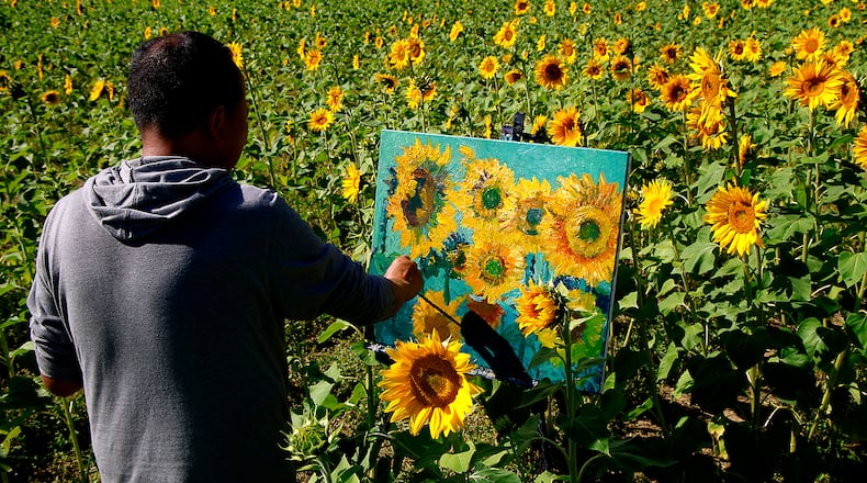 Artist Leo Hong Mao captures the beauty of a sunflower field in bright sunlight with his paint and canvas Monday, Oct. 2, 2023 at the Yellow Springs sunflower field along U.S. 68. Mao, a former Kettering resident, lives in Columbus and says he has been traveling to Yellow Springs to paint the sunflowers every year since 2007.