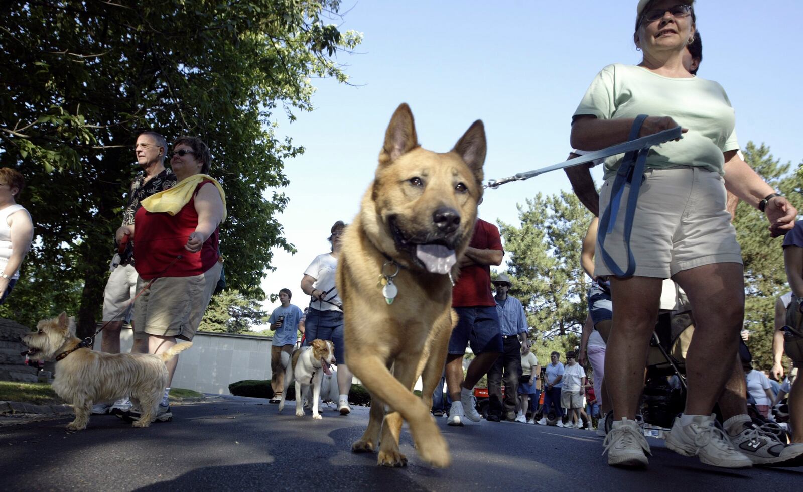 About 100 people and their canine companions took part in the 2008 Woof Walk on Saturday, Aug. 2, at Woodland Cemetery and Arboretum. Walkers in the two, two-hour guided tours learned about the lives of many notables buried in the historic Dayton cemetery founded in 1841. The walk was sponsored by Woodland Cemetery and Arboretum, the Iams Company, the Humane Society of Greater Dayton and SICSA. Staff photo by Chris Stewart