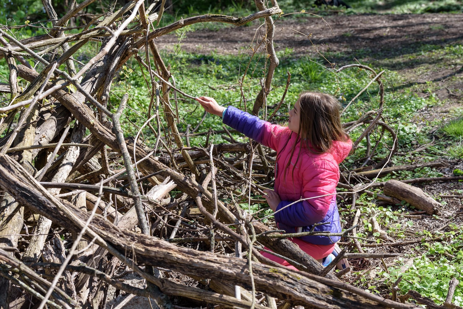 PHOTOS: Kettering TreeFest at Habitat Environmental Center