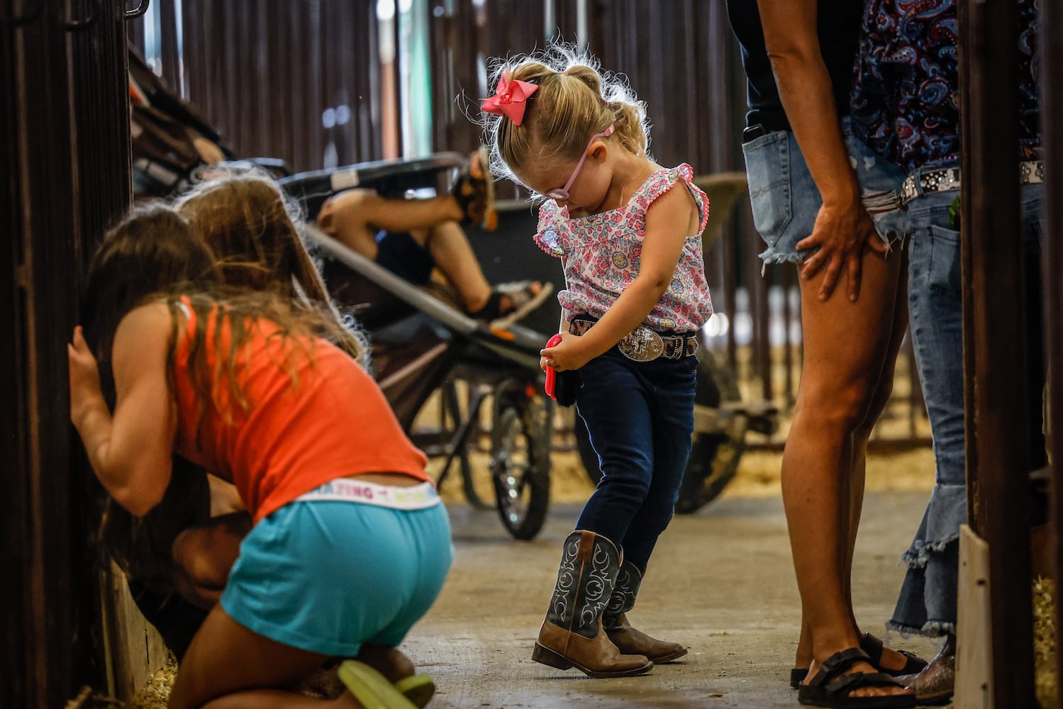 Greene County Fair Pee Wee Swine Showmanship