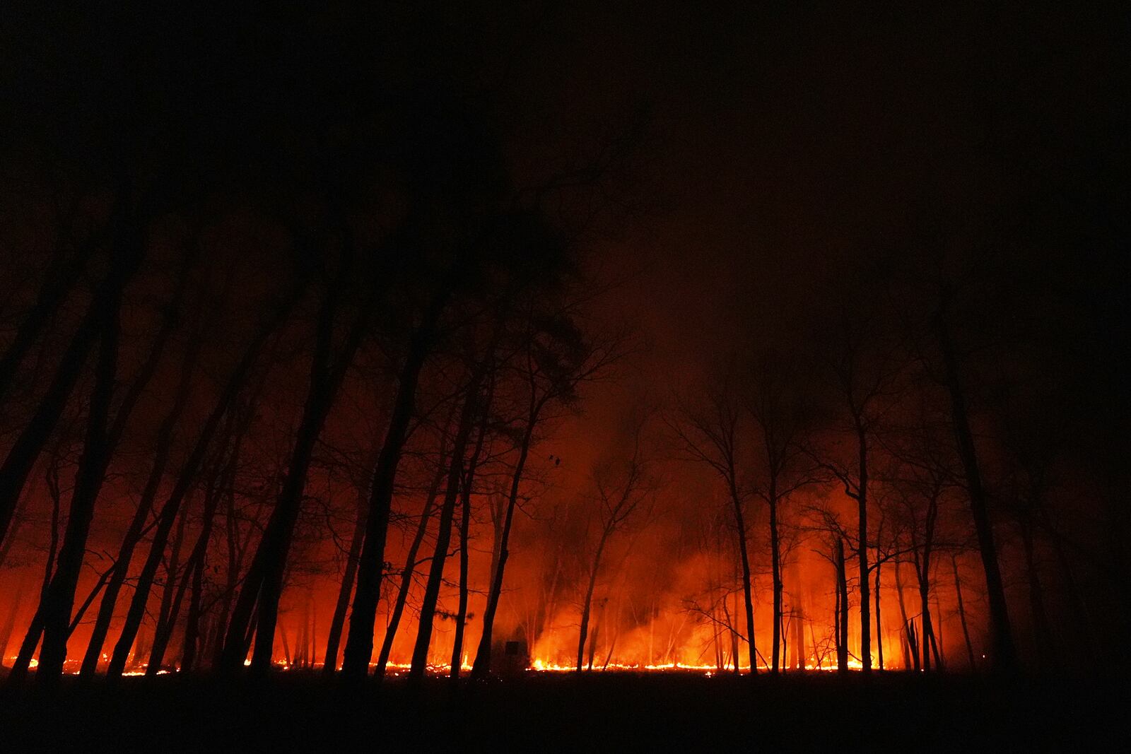 A wildfire burns on Tuesday, April 22, 2025, near Waretown, N.J. (AP Photo/Chris Szagola)