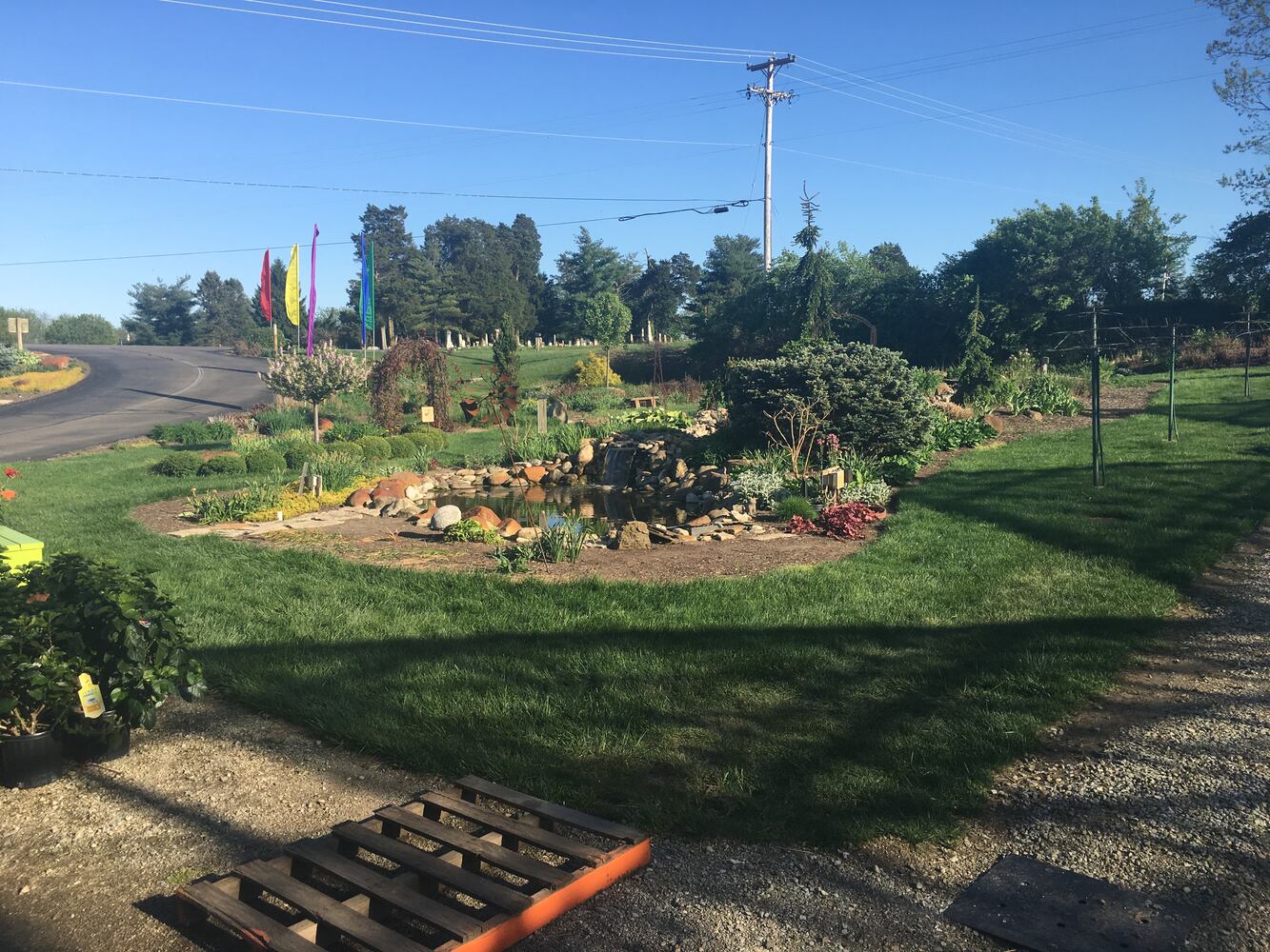 Meadow View Growers