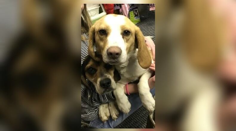 Clayton is has a new business that breaks ground today. The North Main Animal Clinic is calling Clayton home. CONTRIBUTED.