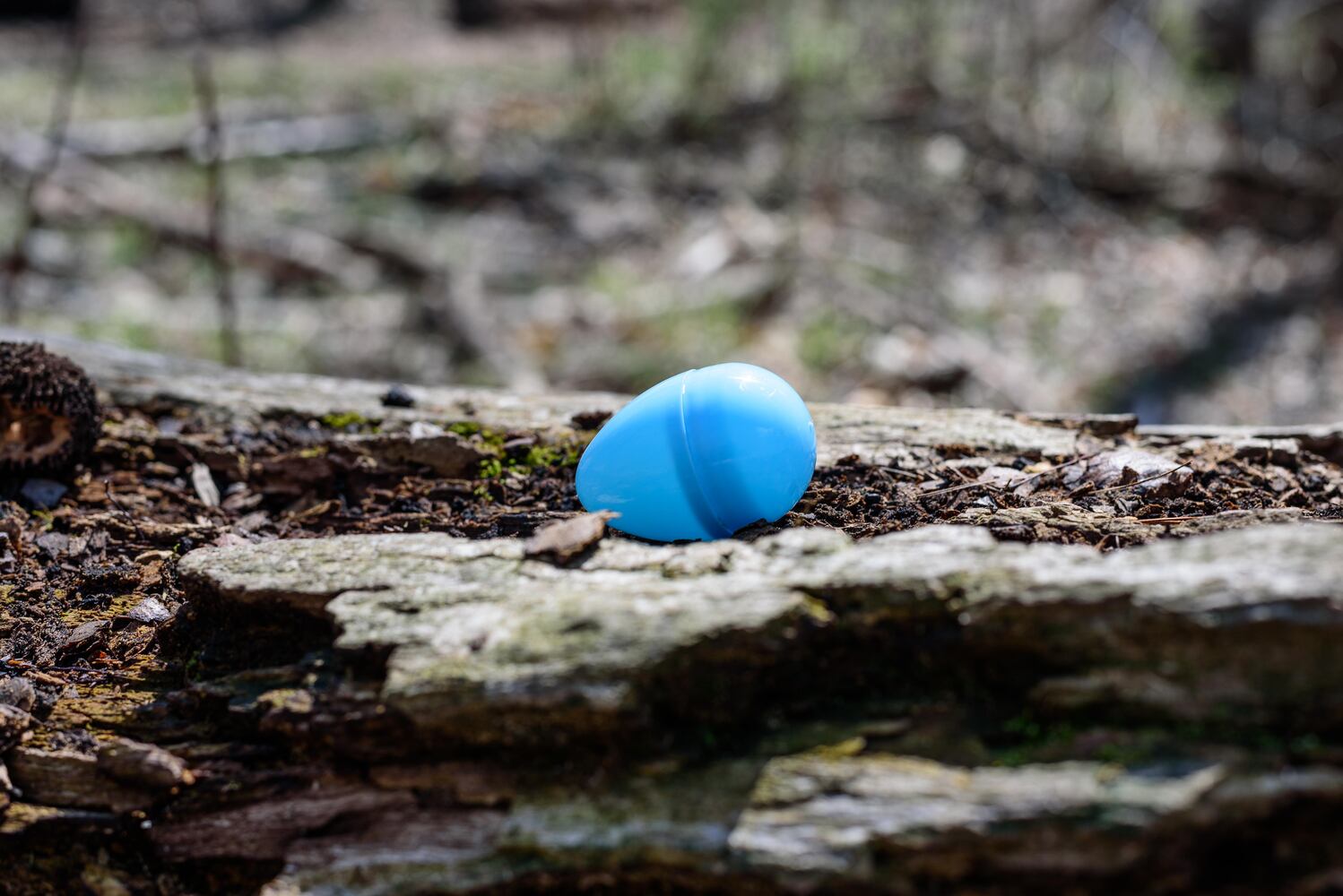 PHOTOS: Eggstravaganza at Lost Creek Reserve