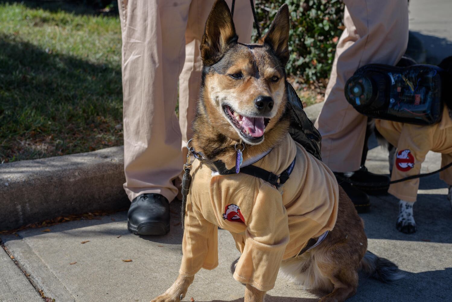 PHOTOS: Did we spot you and your dog at Wag-O-Ween at the Kettering Recreation Center?