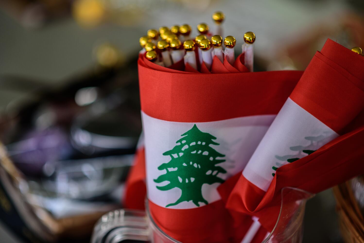 PHOTOS: Did we spot you at this year’s Lebanese Festival?