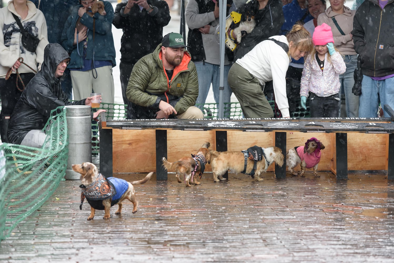 PHOTOS: 2025 Derby Day wiener dog races in the Oregon District