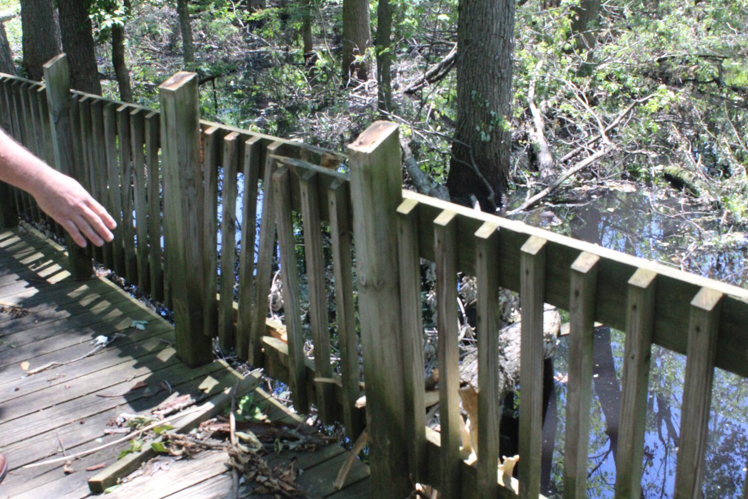 Photos: ‘extraordinary’ damage to parts of  Wegerzyn MetroPark, some parts mostly untouched