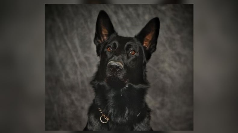 Franklin Police Division K9 Fury was killed in a crash Saturday, Nov. 11, 2023. Two officers also were injured in the wrong-way crash for which a Kentucky man was charged. CONTRIBUTED/FRANKLIN POLICE DIVISION