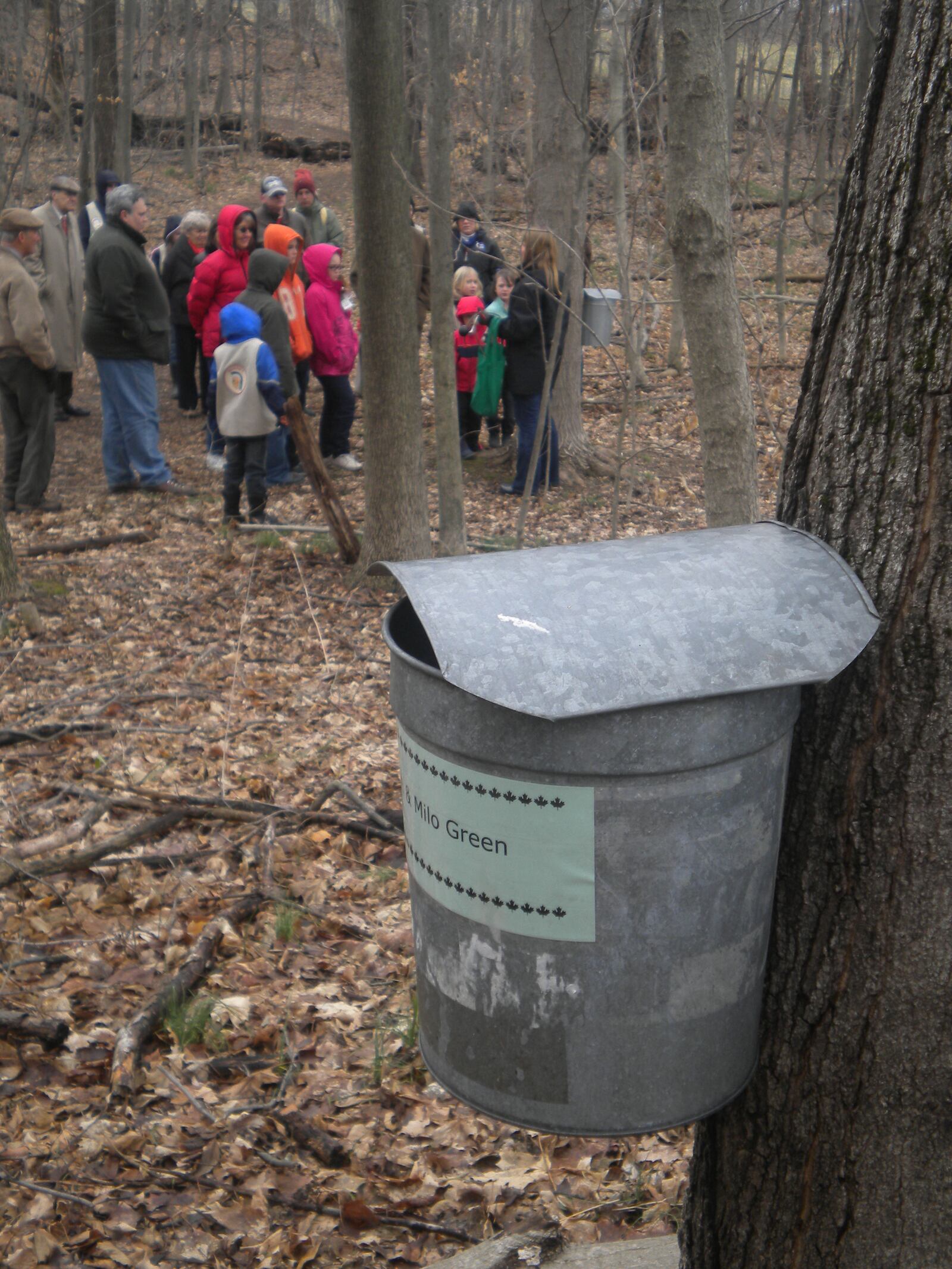 Take a hike in the sugarbush and learn how maple syrup making got its start at Aullwood Farm - Contributed