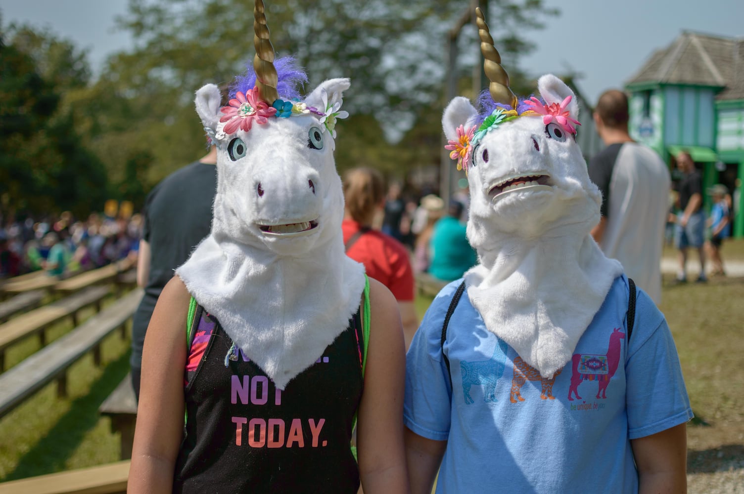 PHOTOS: Ohio Renaissance Festival 2017
