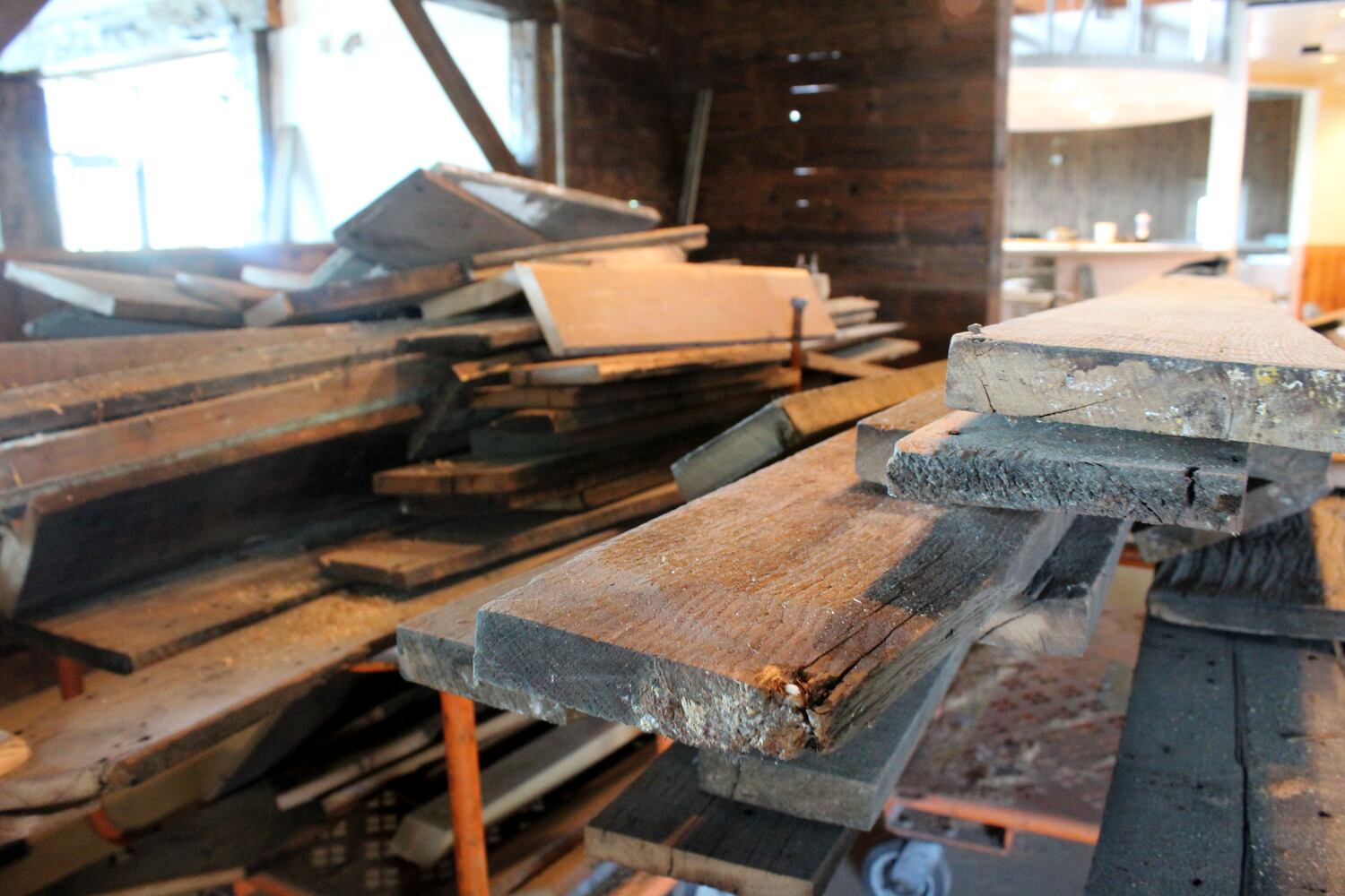Inside the construction zone at Wandering Griffin