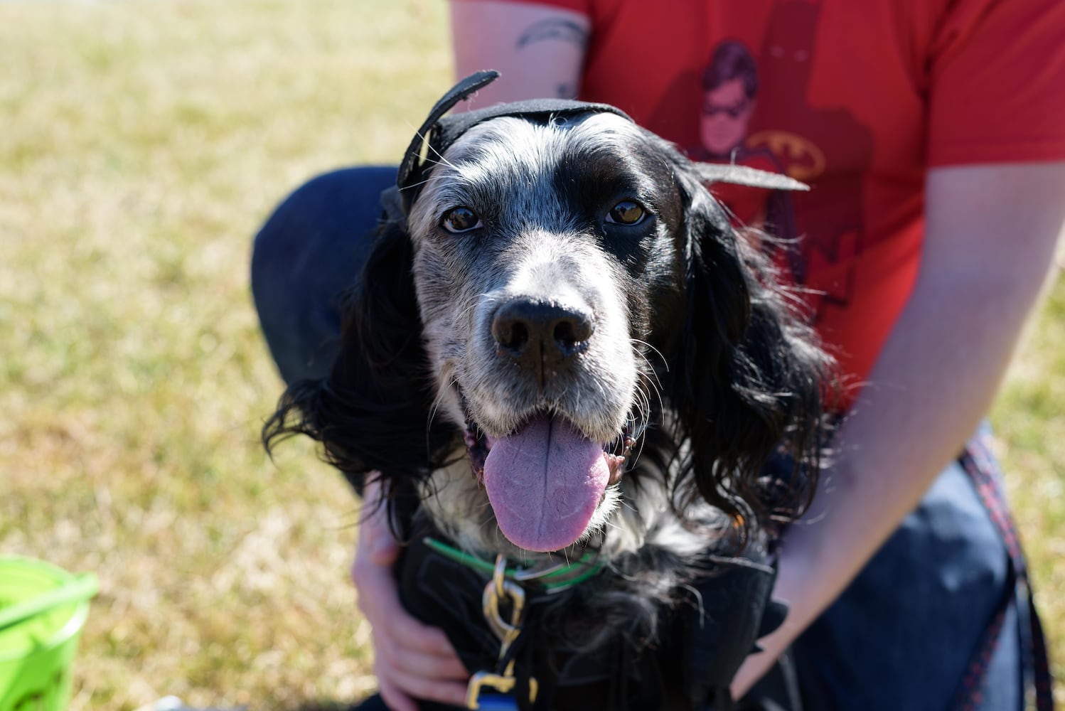 PHOTOS: Did we spot you and your dog at Wag-O-Ween at the Kettering Recreation Center?