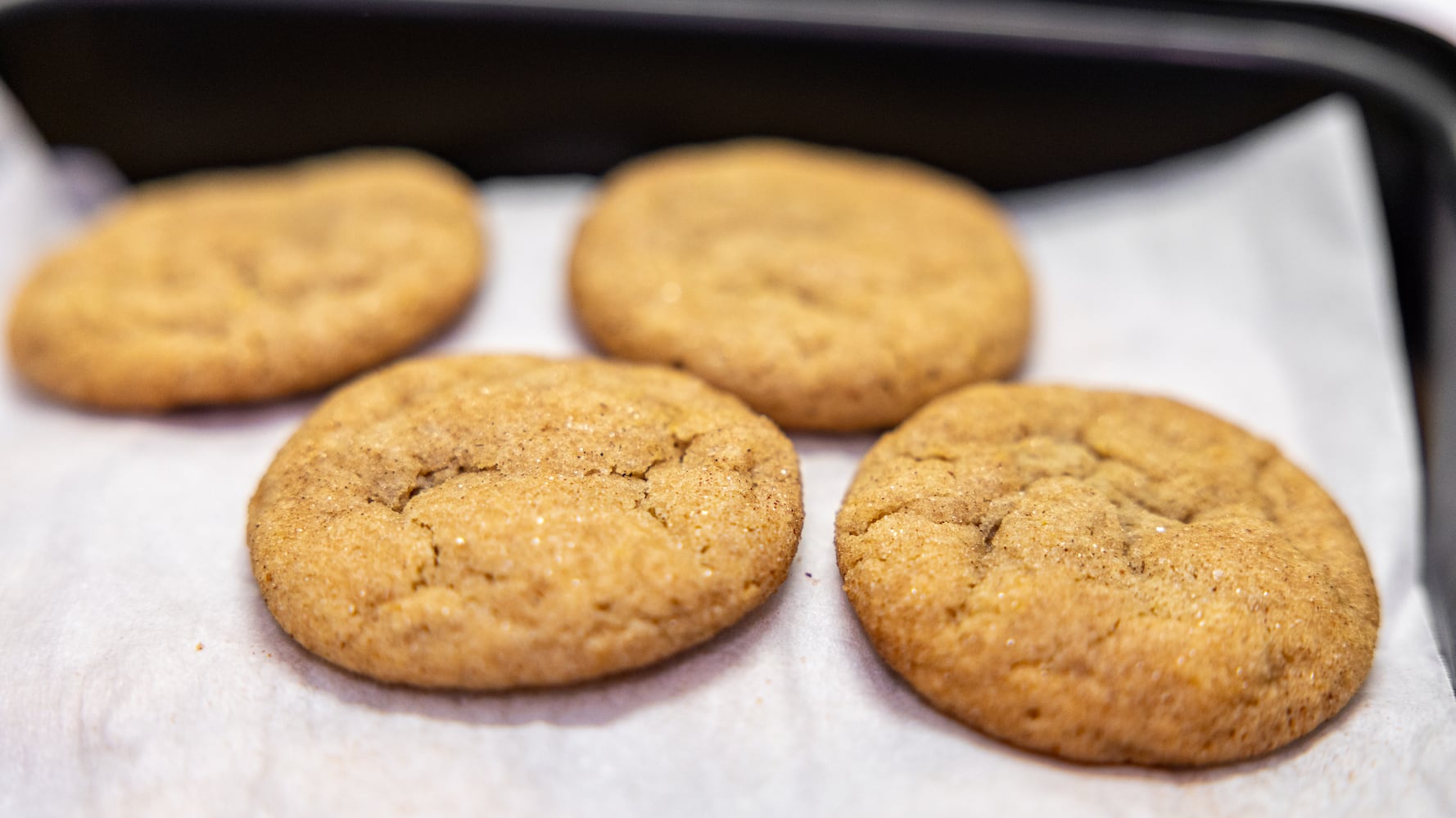 DDN 112425 DDN Holiday Cookie Contest