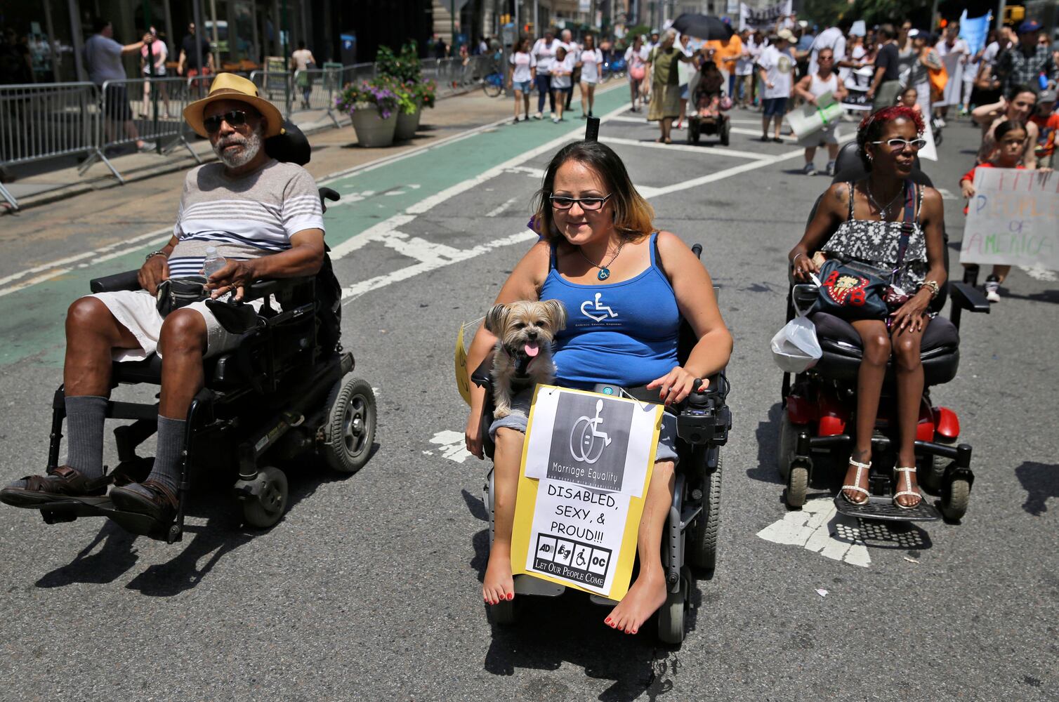 News hounds (7/16/15)