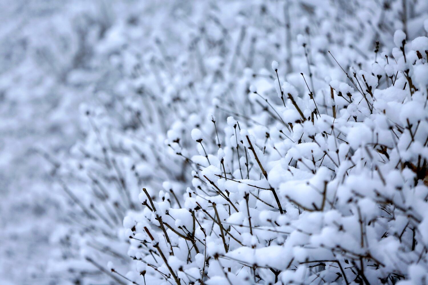 Snowy details and patterns