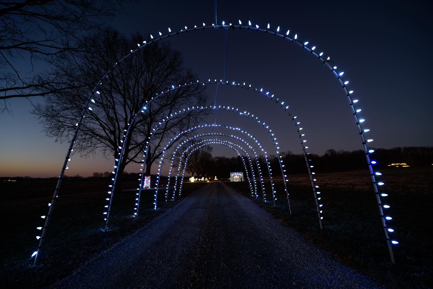 PHOTOS: Holiday Lights dazzle at Lost Creek Reserve in Troy