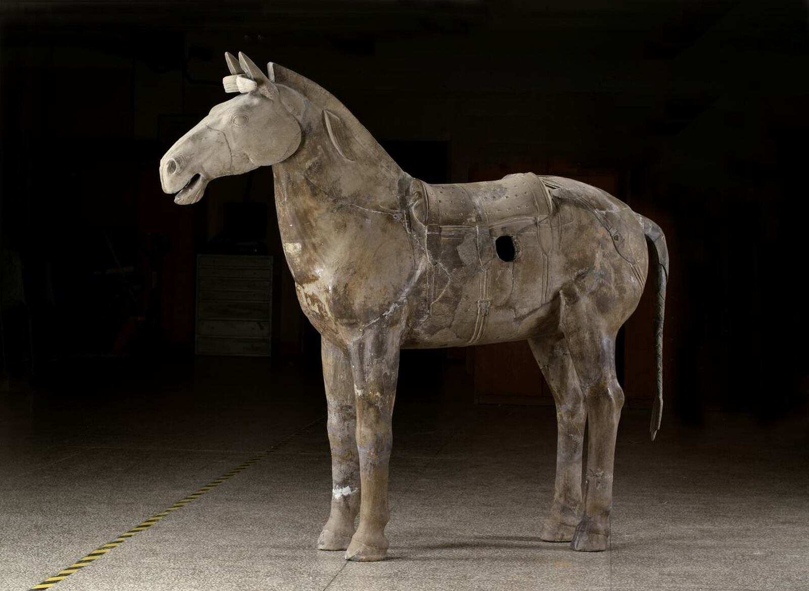 A Cavalry Horse from the Qin dynasty, 221-206 BC. CONTRIBUTED