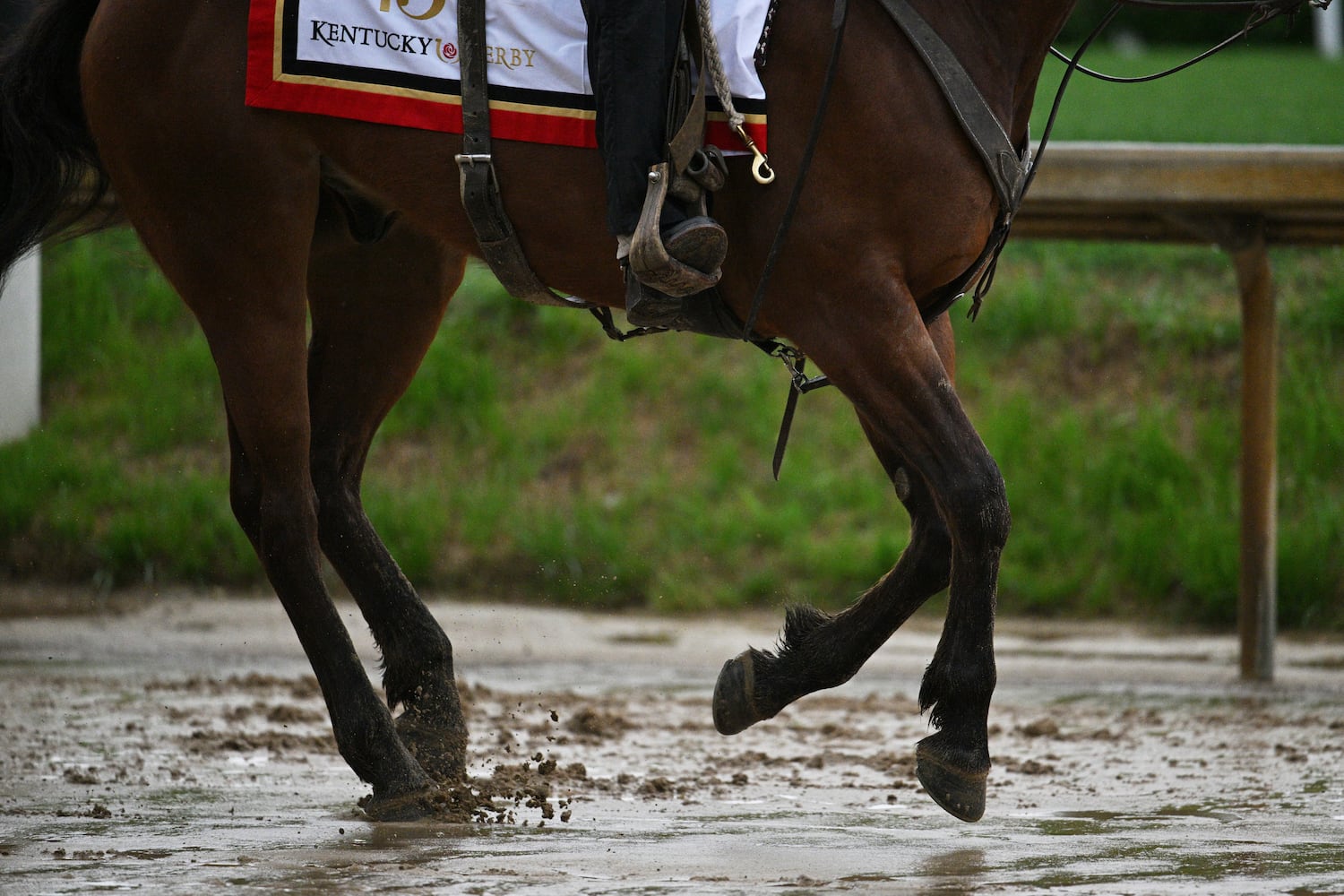 Kentucky Derby Horse Racing