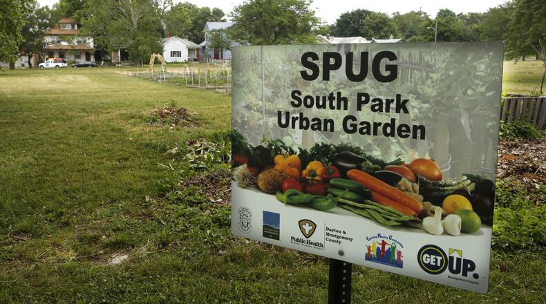 Property owner Eric Segalewitz stands on Alberta St. and explains how the city of Dayton inadvertently transferred the deed of a 5-acre parcel with an assessed value of $340,000 that is targeted for future development to him for just $650. The mistake could prove costly. Segalewitz wants the city to buy the property back from him for a “fair market” price. TY GREENLEES / STAFF