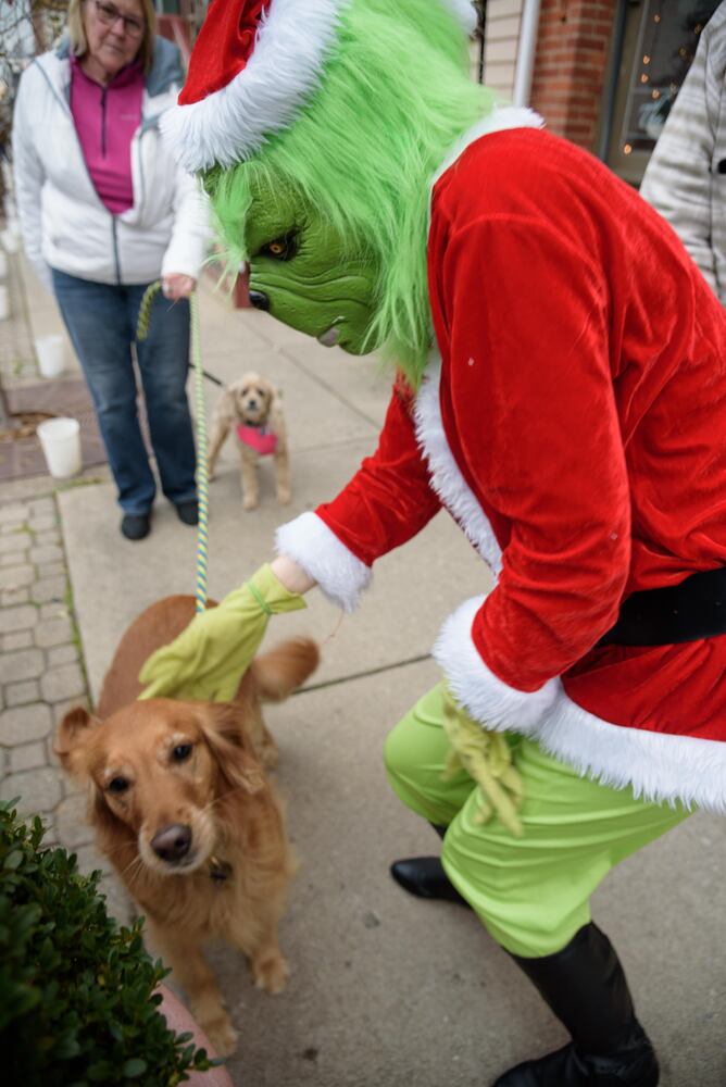 PHOTOS: Did we spot you at Waynesville's Christmas in the Village?