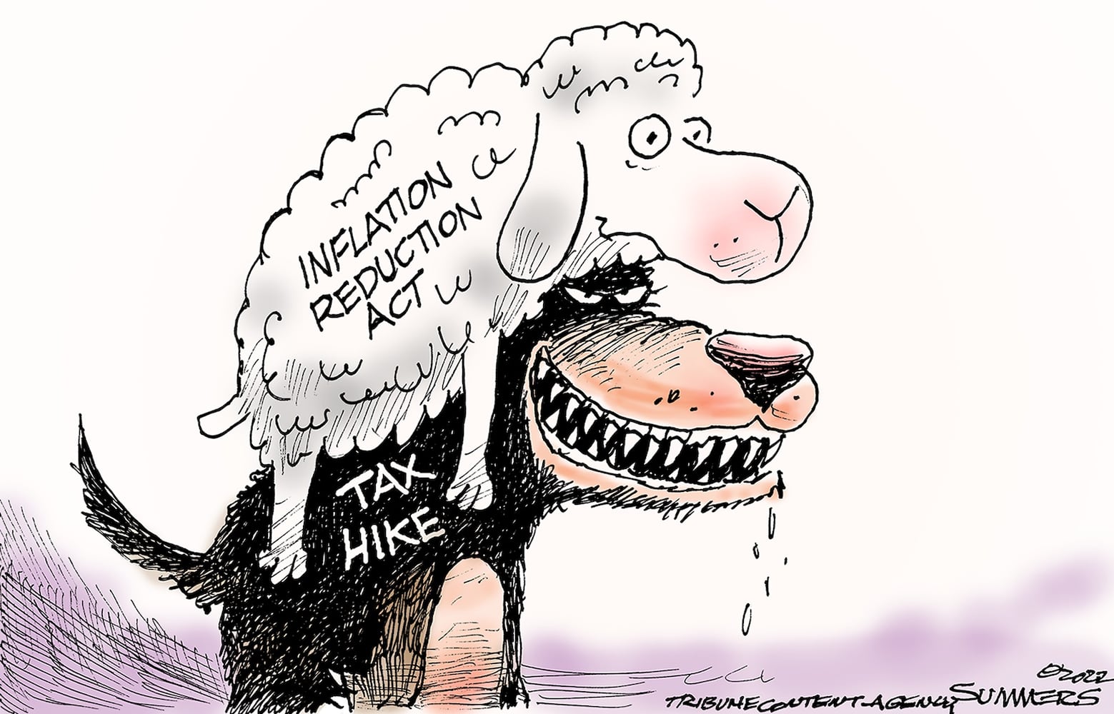 WEEK IN CARTOONS: Pelosi’s trip, Alex Jones, Kansas abortion vote and more