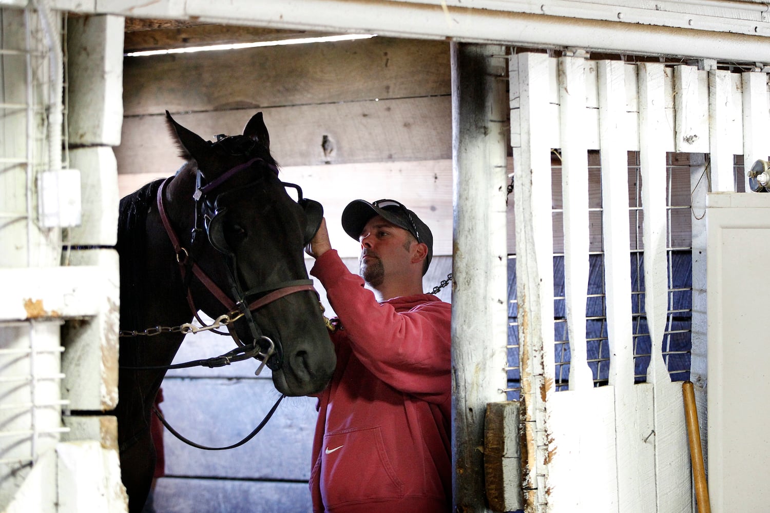 Dan Noble: Harness racer dominates track