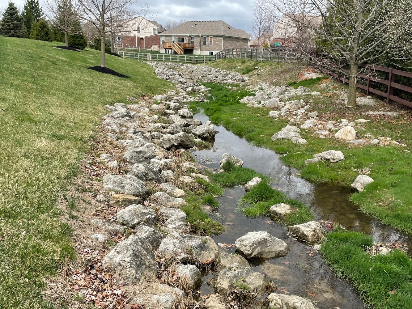 Surface water quality
