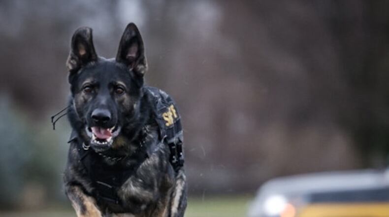 Bart is a 2 1/2 year old German Shepard and a Montgomery County Sheriff police K9. Jim Noelker/Staff