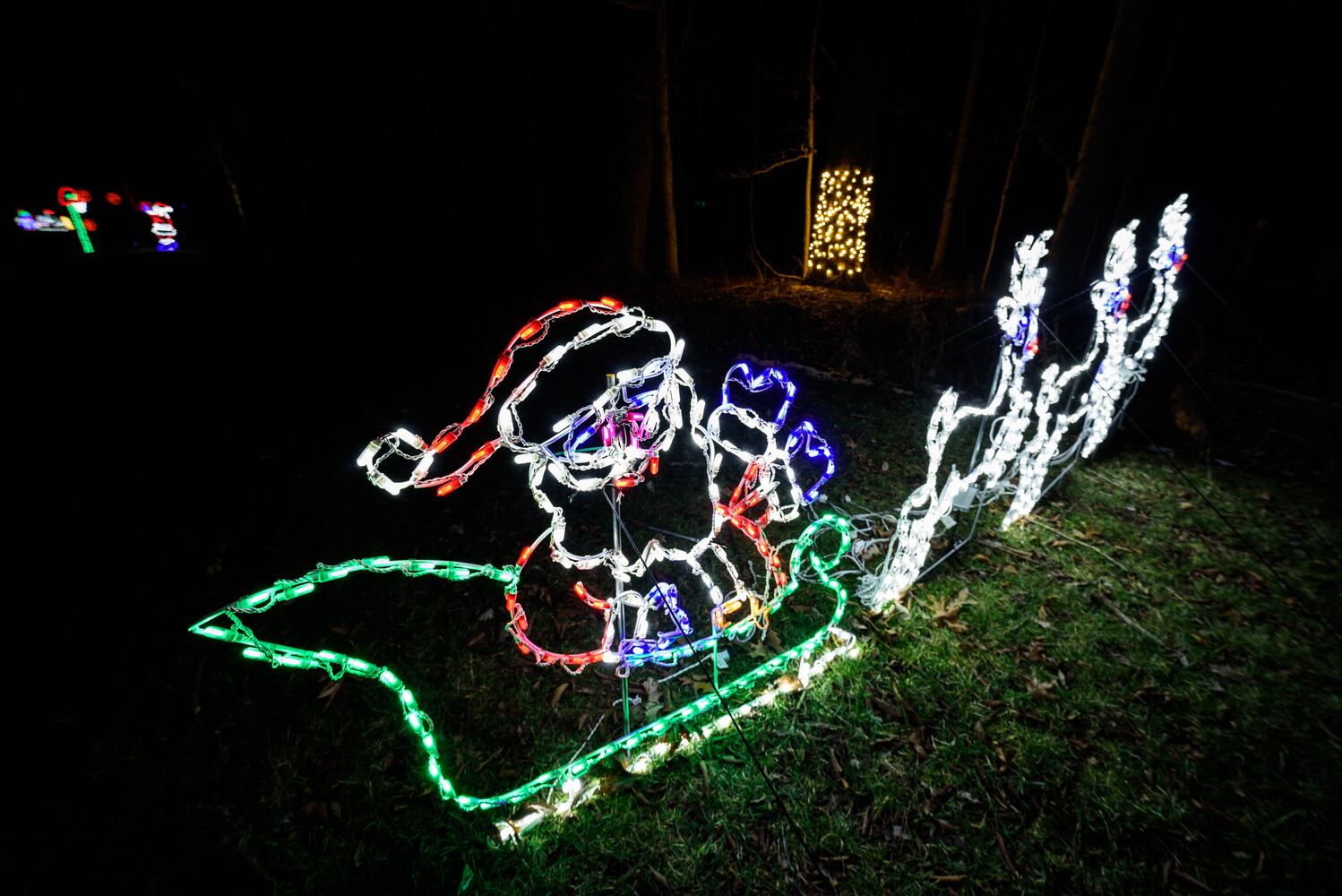 PHOTOS: Holiday Lights dazzle at Lost Creek Reserve in Troy