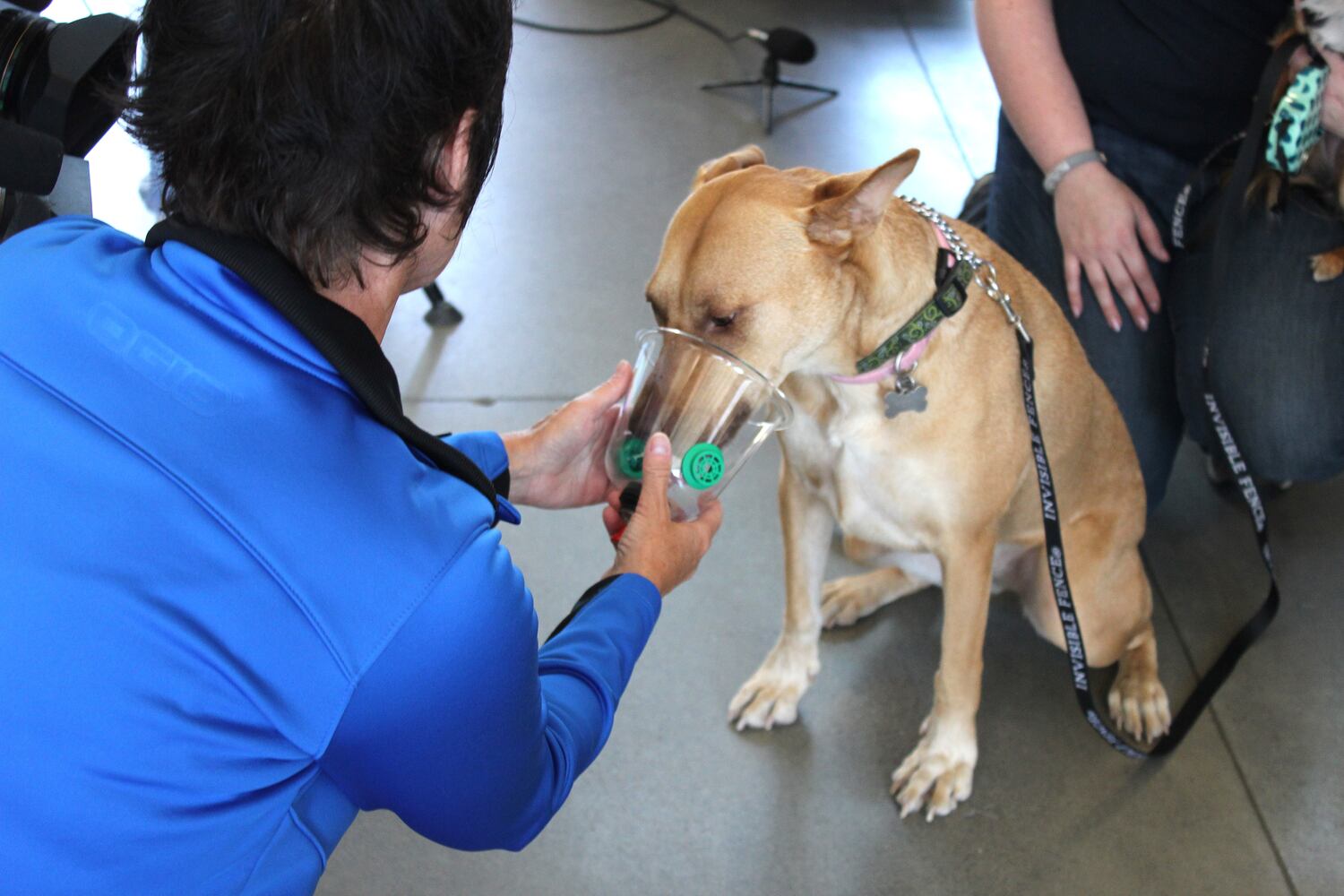 News hounds (7/16/15)
