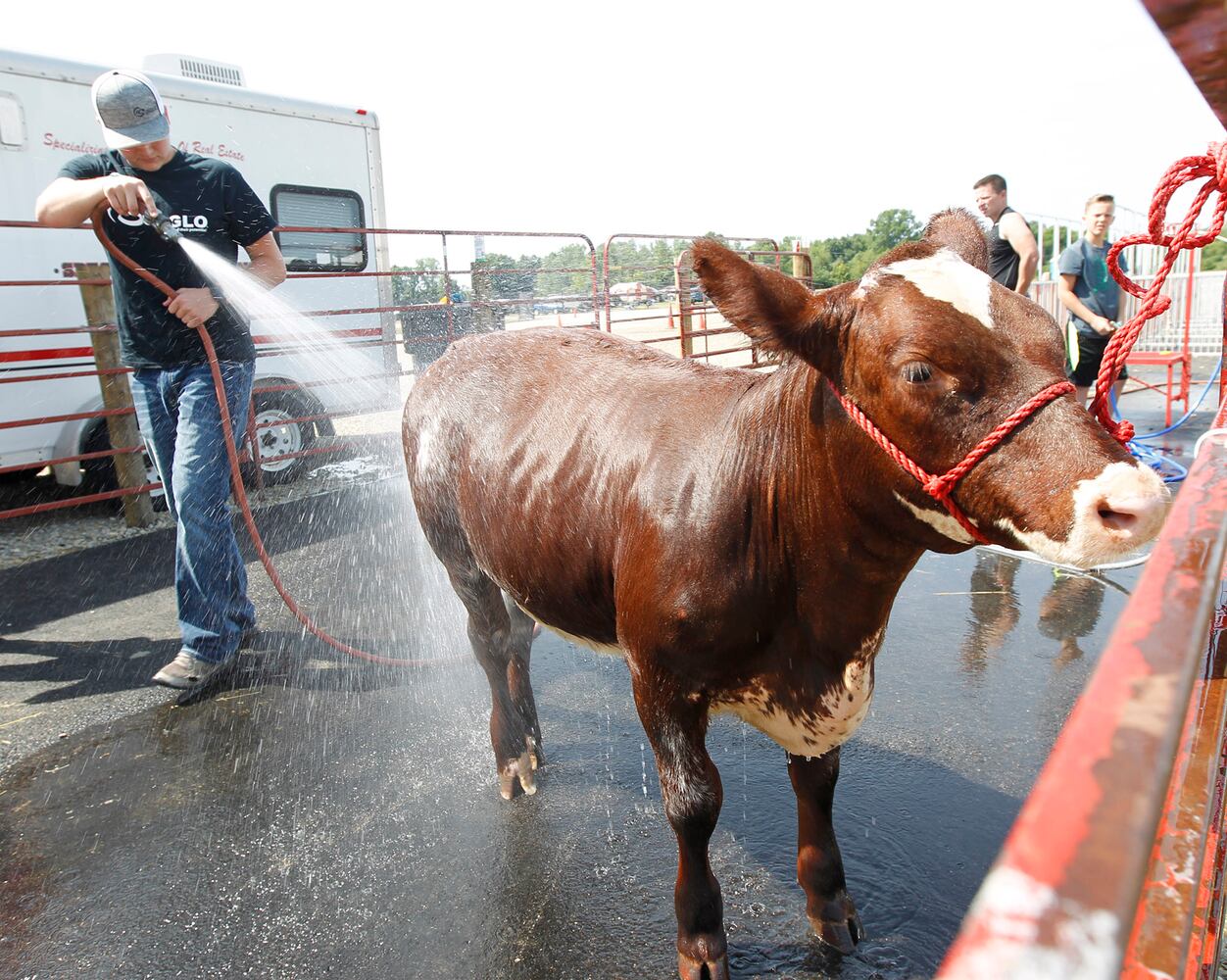 Kids and their animals big and small at Montgomery County Fair