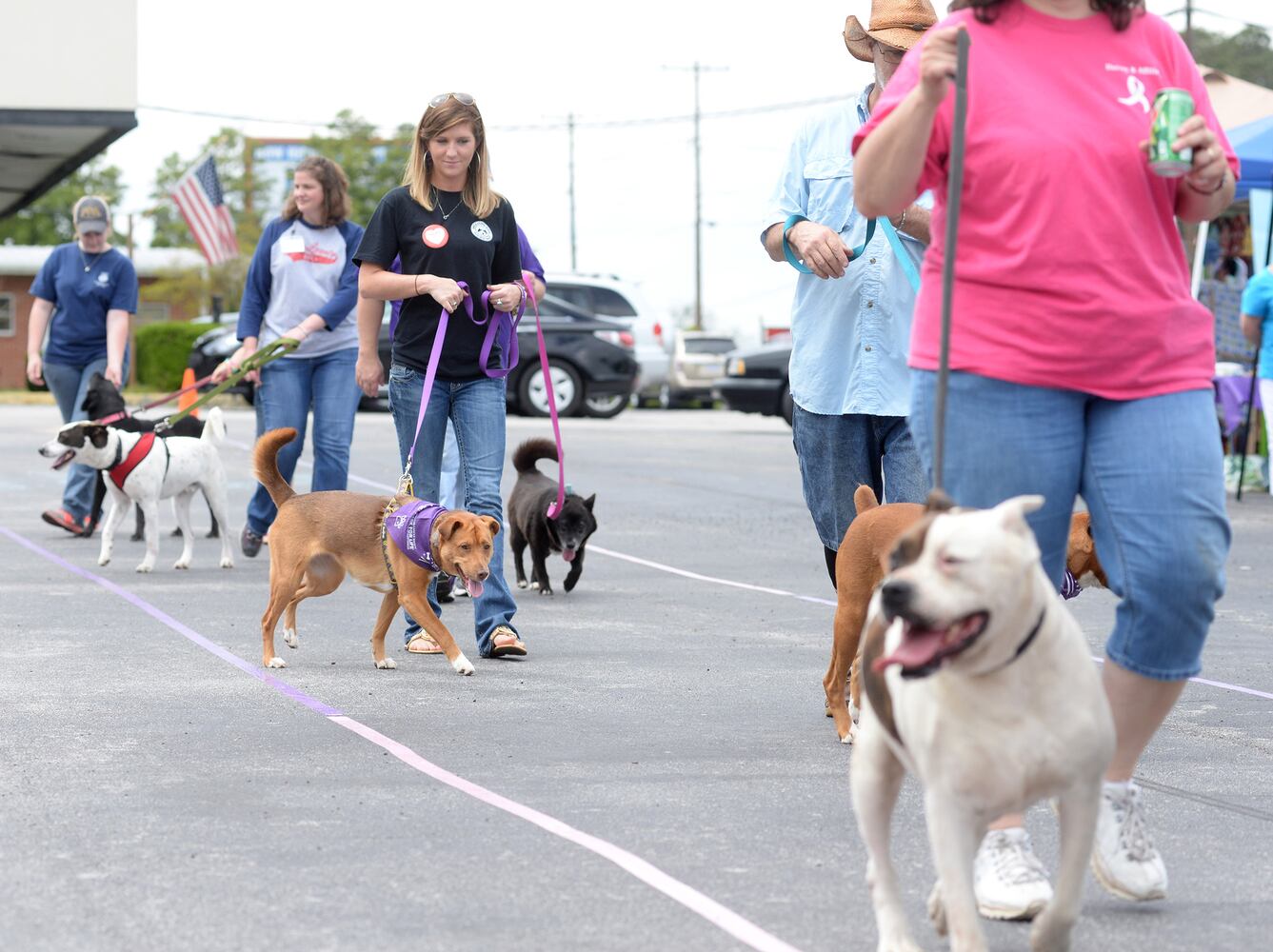 News hounds (4/23/15)