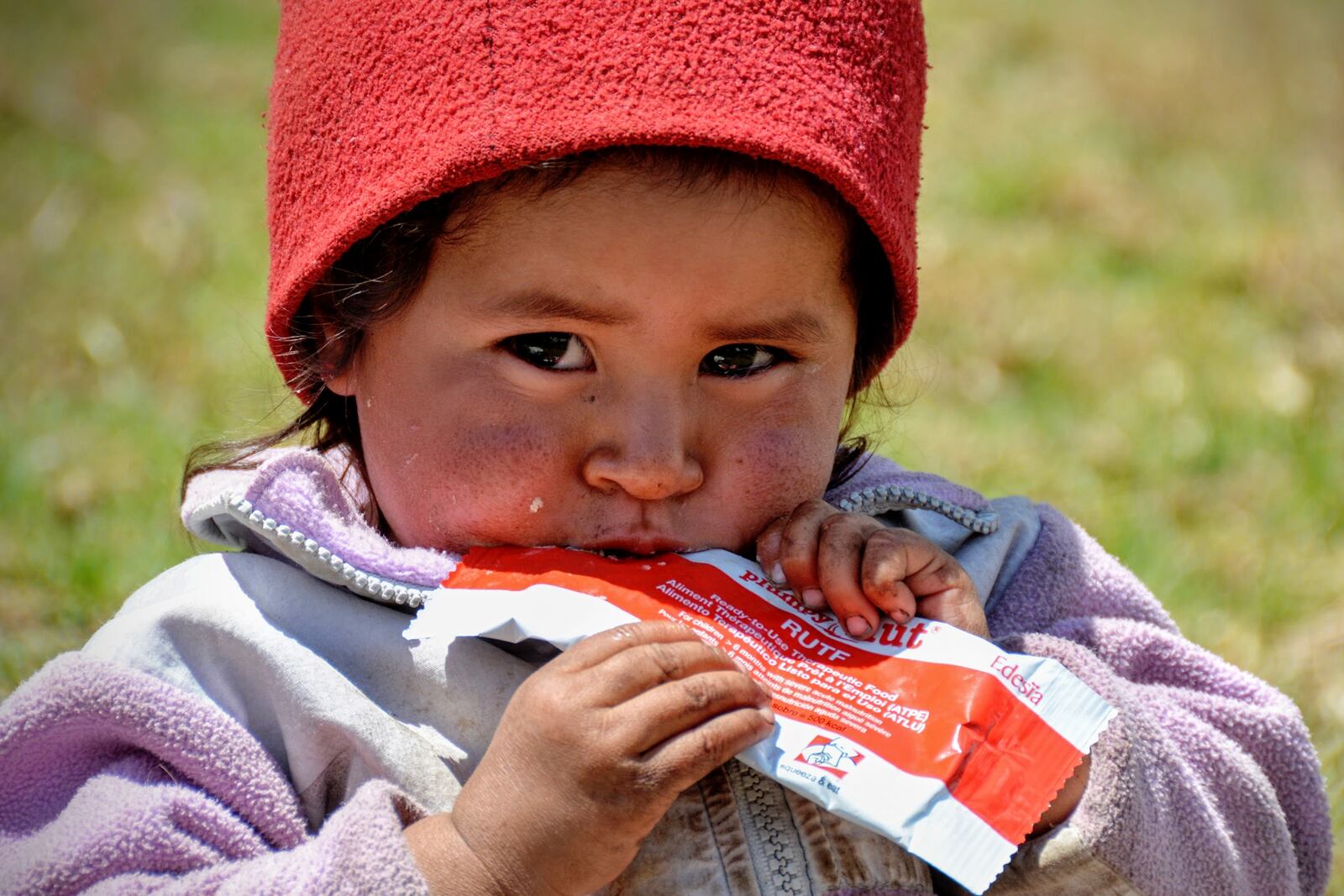 This photo provided by Navyn Salem shows a young child in Guatemala on March 14, 2016, eating Plumpy'Nut, a nutritional lifesaving peanut paste produced by Salem's company Edesia Nutrition and sent to malnourished children worldwide. (Navyn Salem via AP)