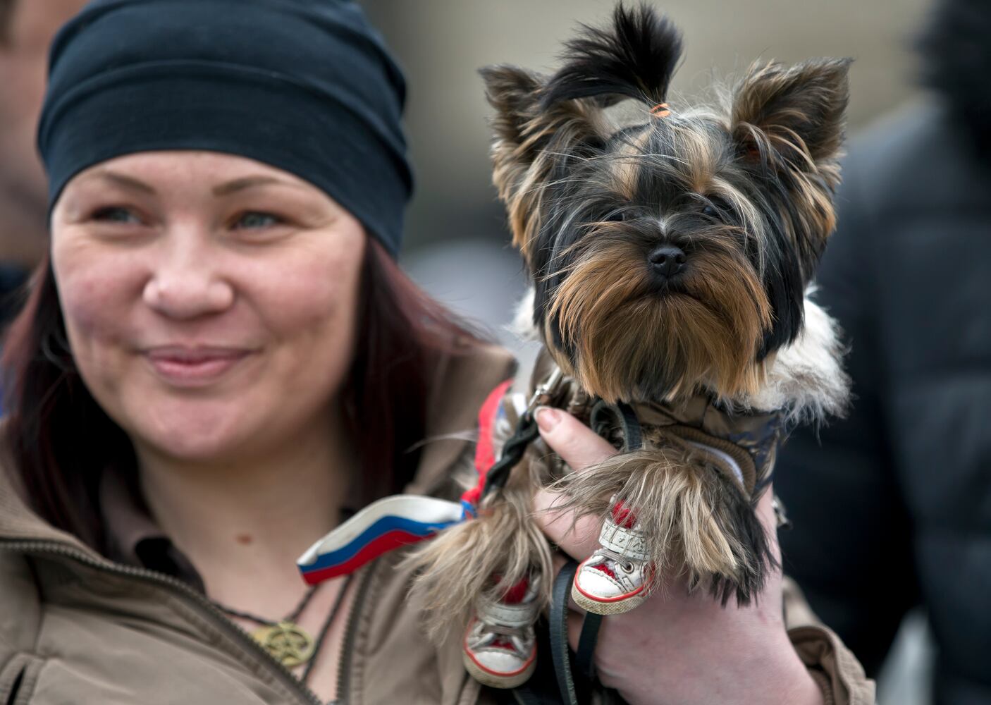 News hounds (3/13/2014)