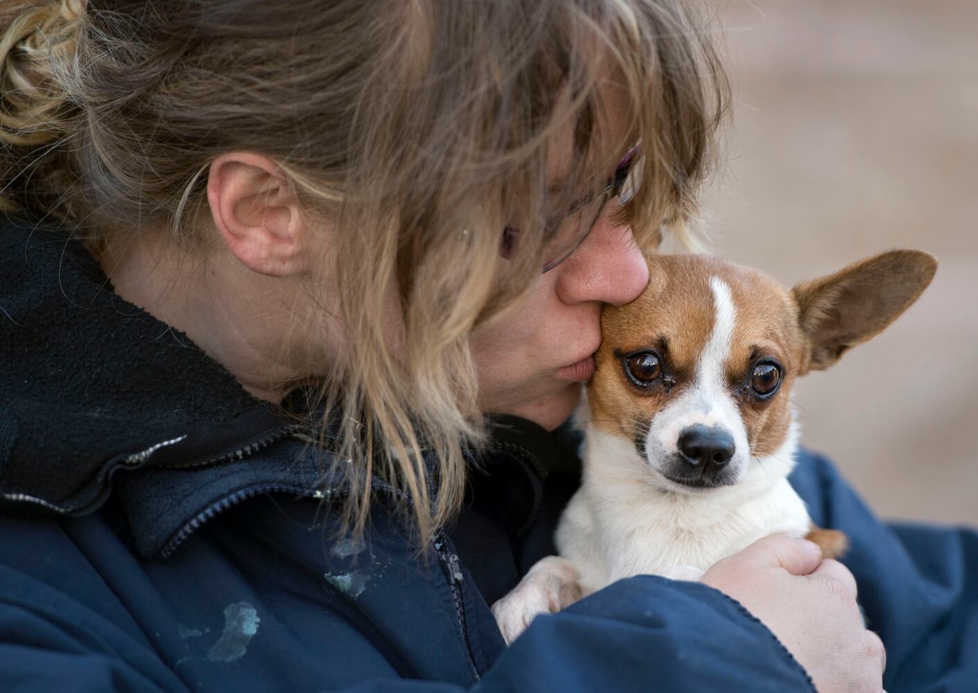 News hounds (12/12/2013)