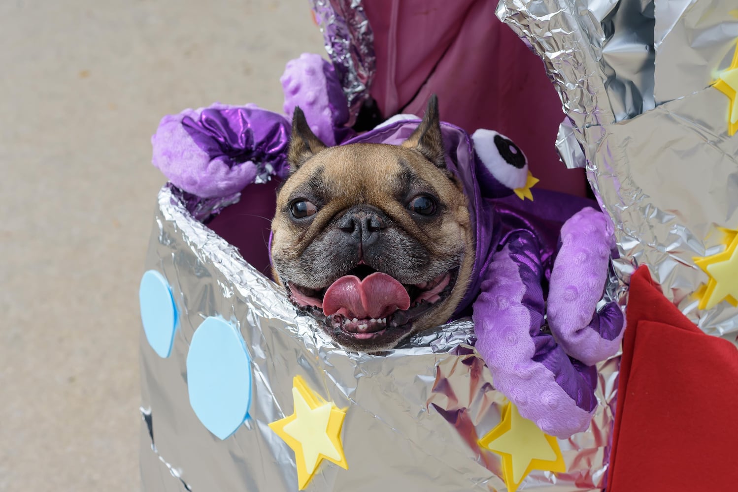PHOTOS: Wag-O-Ween 2025 at Kettering Recreation Complex
