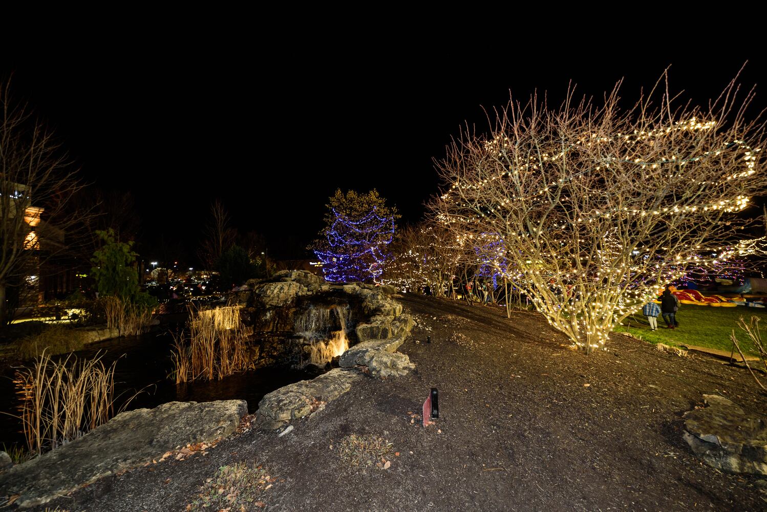 PHOTOS: Did we spot you at Austin Landing's Christmas Tree Lighting?