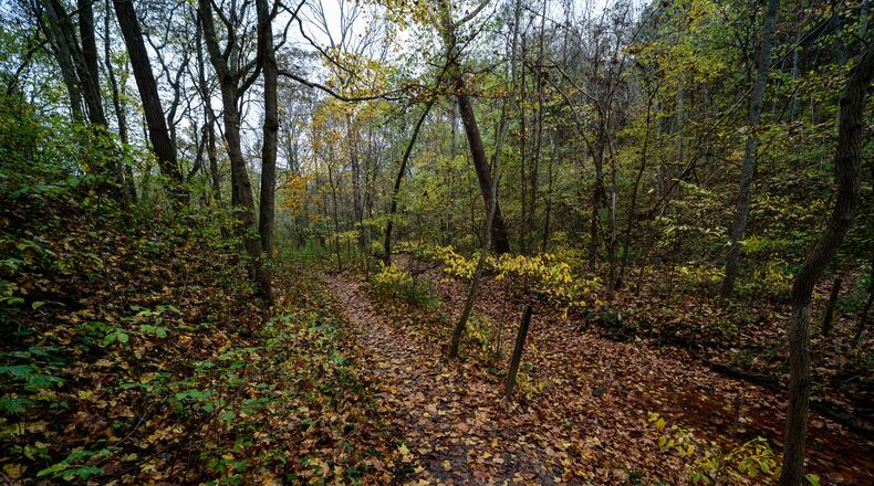 Here’s a look at an autumn walk at Serpent Mound near Peebles, Ohio, the world’s largest effigy mound, built by an unknown ancient American Indian culture. Visitors can learn more about the Serpent Mound and neighboring burial mounds at the onsite museum. An observation tower, built in 1908, provides a breathtaking view of the mound. The Ohio Brush Creek Nature Trail loops hikers around and below the mound and features views of rock outcrops. Even though the site is closed for the winter season, there will be special Winter Solstice hours on Sunday, December 20, 2020 from 2 p.m. to 5:30 p.m. The grounds will be open though the museum/gift shop will remain closed. March 5, 2021 is the scheduled reopening date for the site. TOM GILLIAM/CONTRIBUTING PHOTOGRAPHER