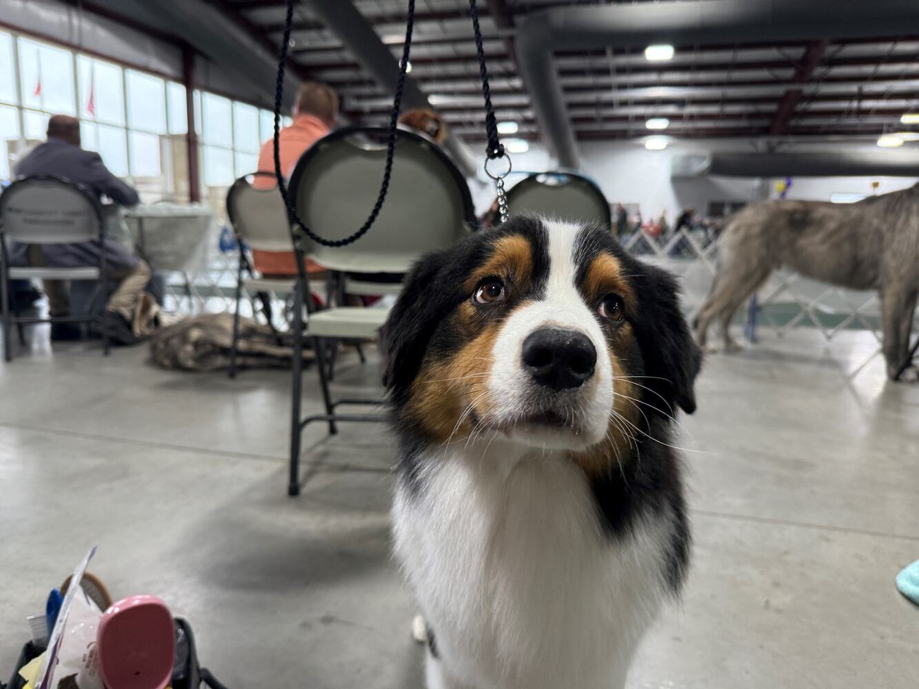 Fort St. Clair Kennel Club Dog Show