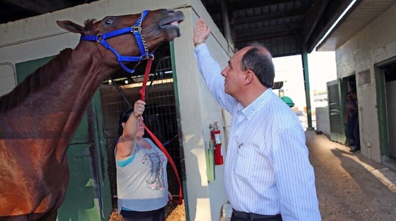 Venezuelan horse trainer Antonio Sano greets his racehorse, Gunnevera, as he's walked after a workout early morning on March 29, 2017, ahead of the upcoming Florida Derby at Gulfstream Park. Sano was kidnapped in Venezuela and started a new life in South Florida. (C.M. Guerrero/El Nuevo Herald/TNS)