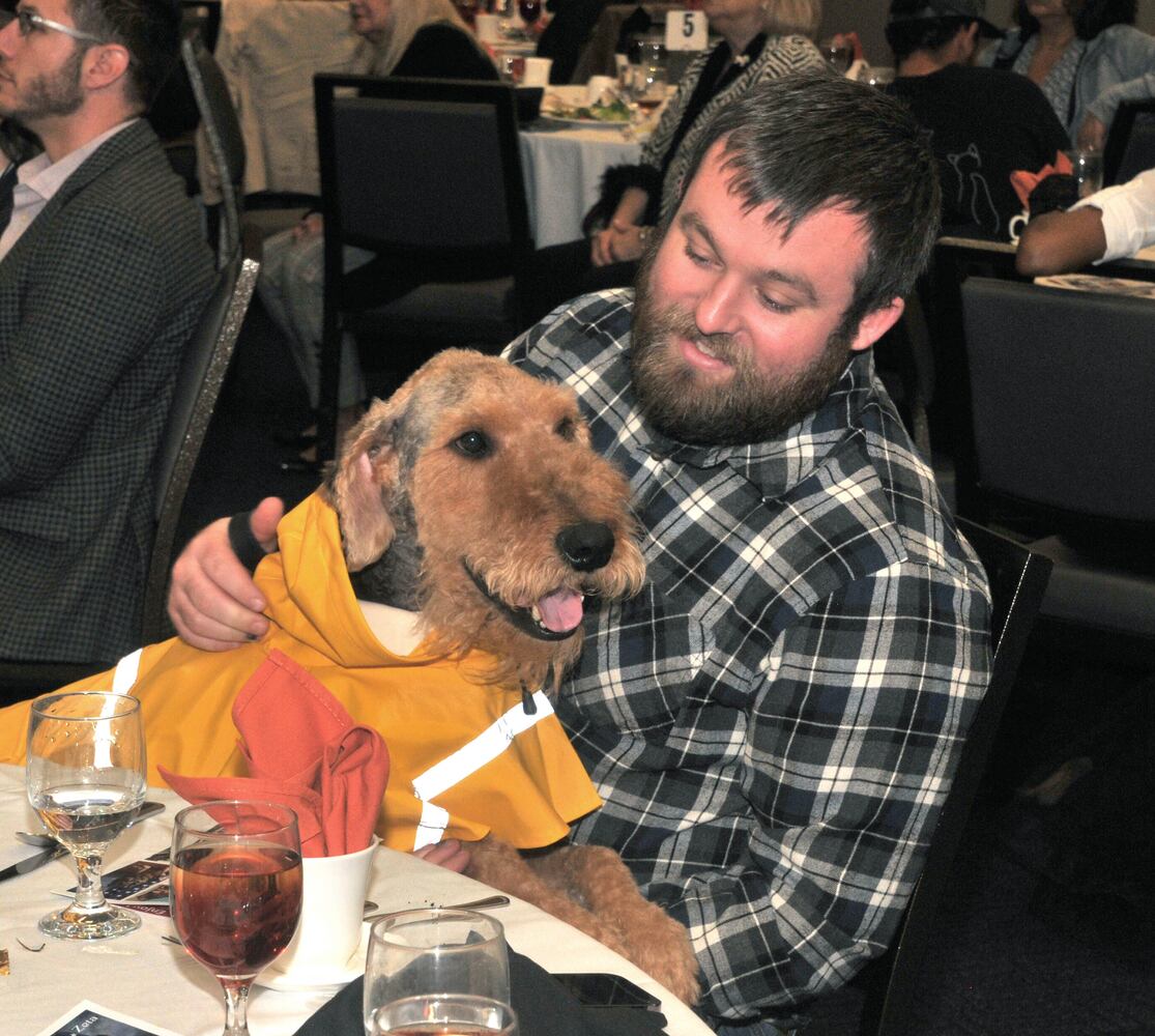 Did we spot you at Dogs on the Catwalk?