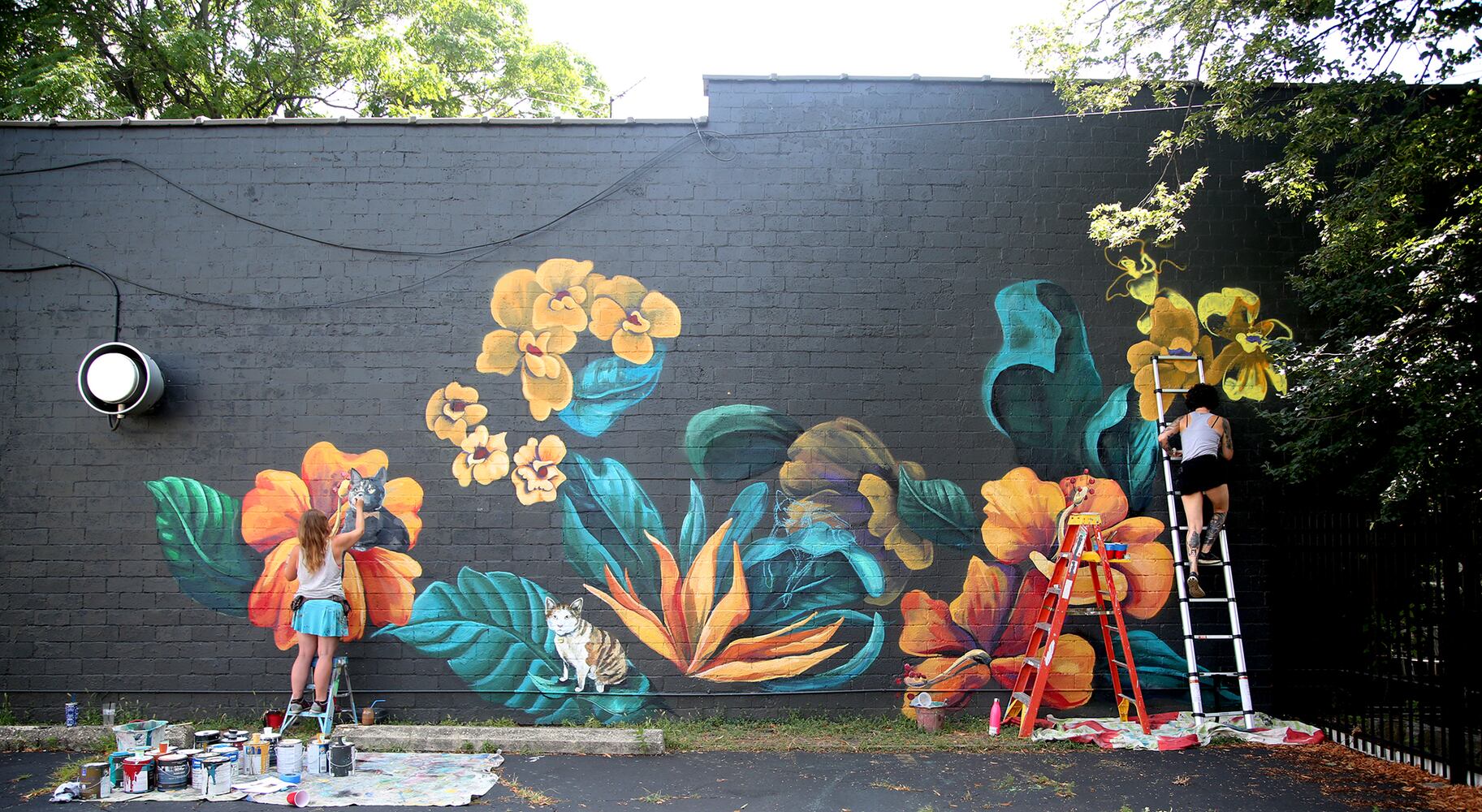Cat mural in Dayton's Oregon District