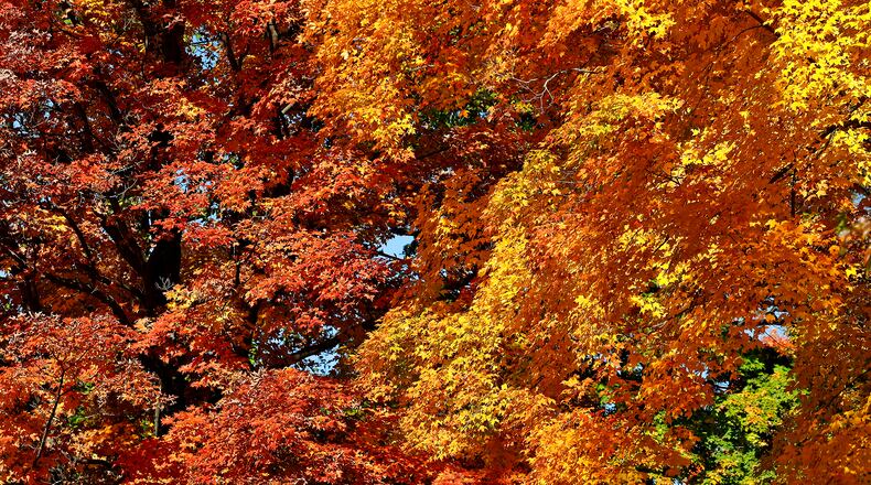 As the days grow shorter and the air gets cooler, mother nature has started pulling back the blanket of green foliage to reveal the bright reds, yellows and browns of autumn in Clark County. BILL LACKEY/STAFF