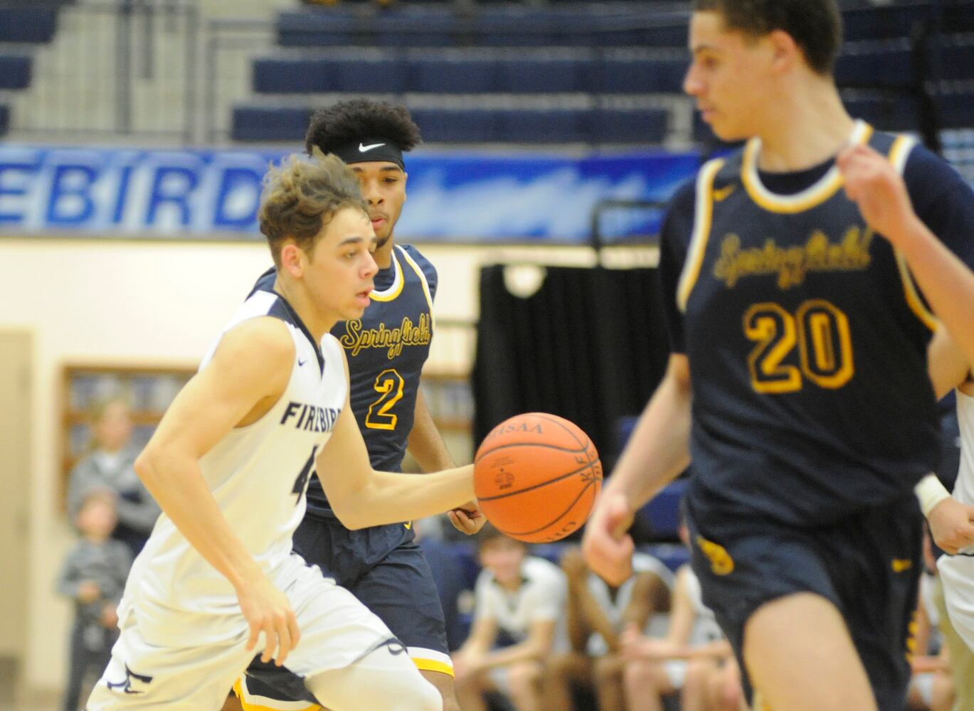 PHOTOS: Springfield at Fairmont boys basketball