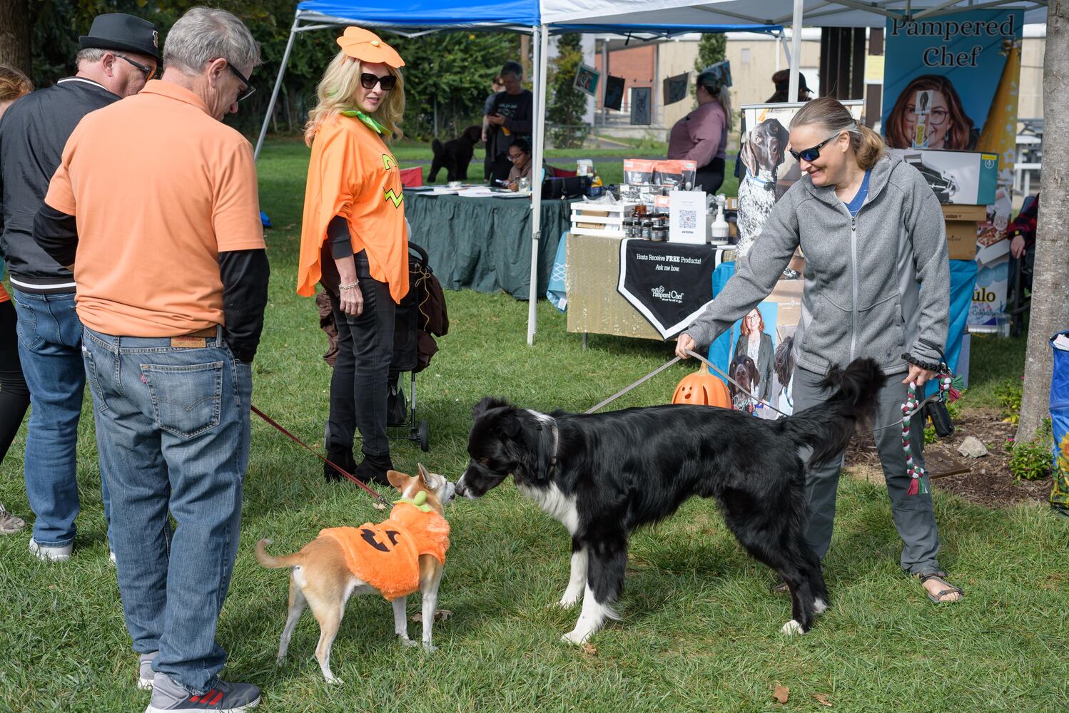 PHOTOS: 2025 PetFest at Delco Park