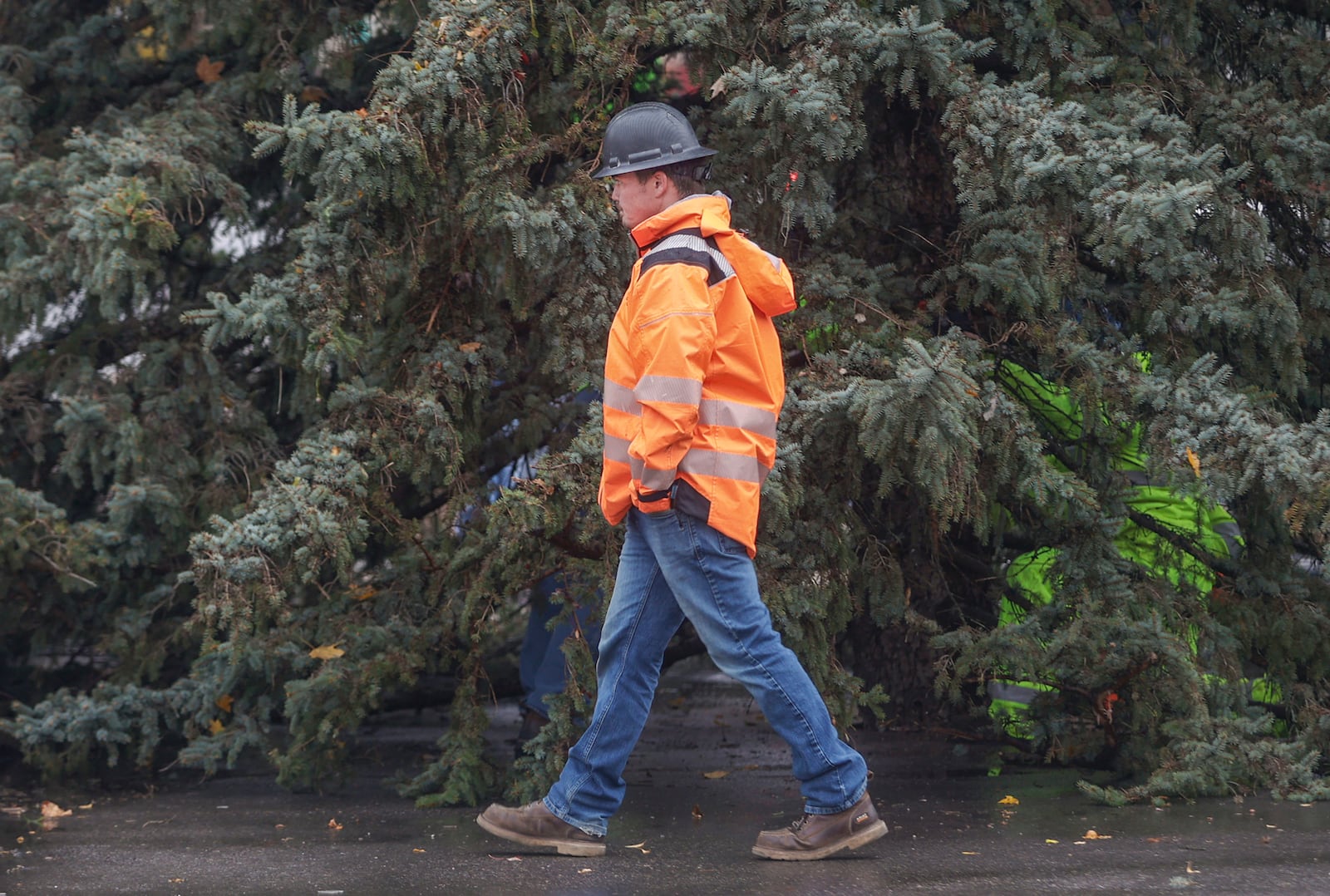 A construction crew works to put a Christmas tree up  on Friday, November 7, 2025, in downtown Springfield. JOSEPH COOKE/STAFF